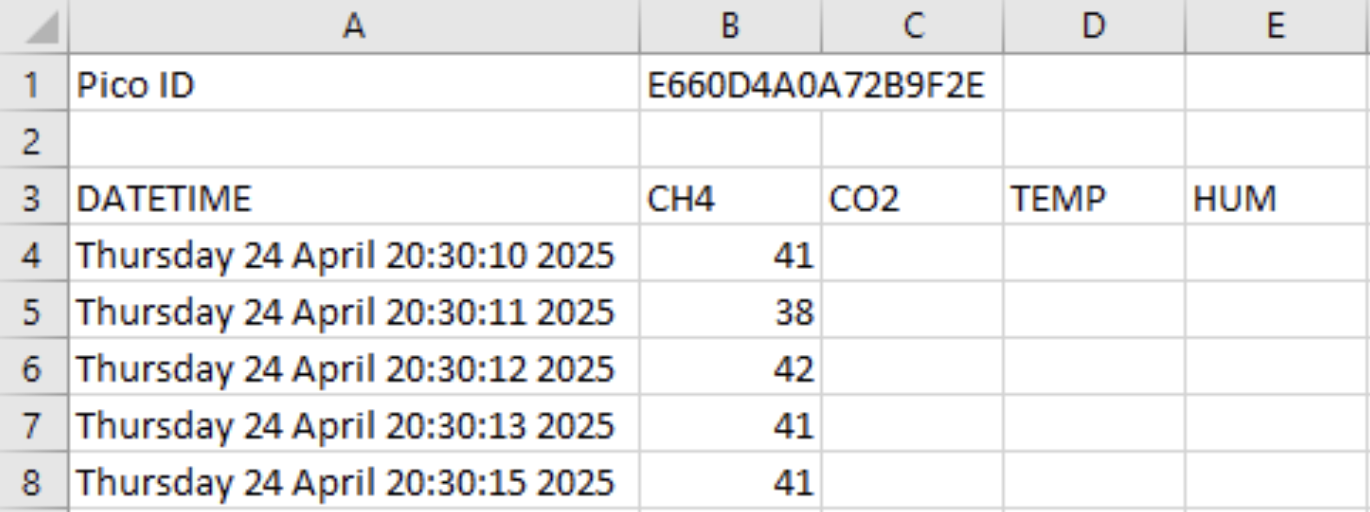 CSV File