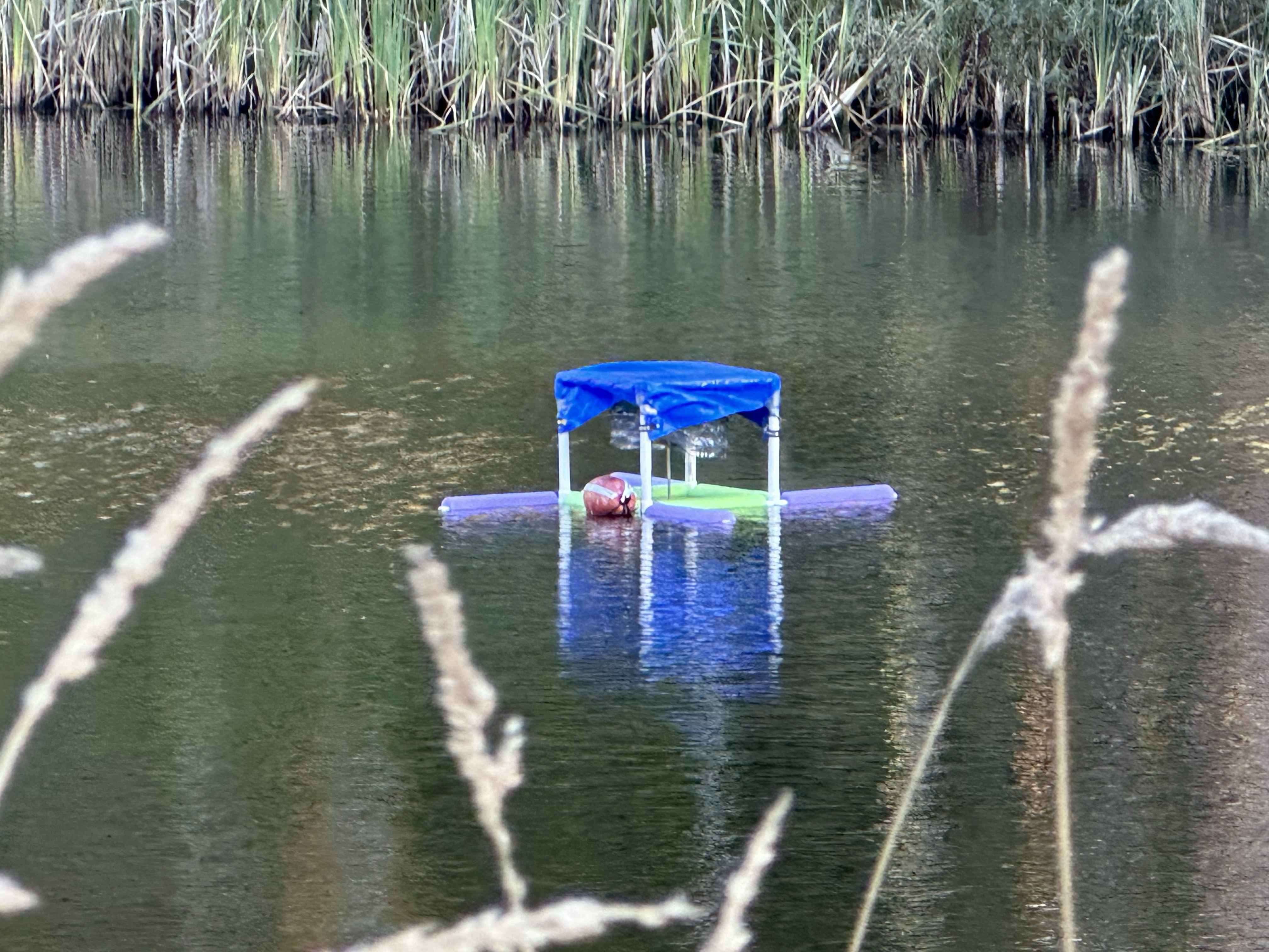 Pond Test 2